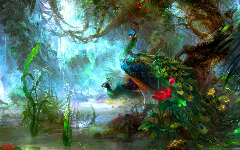 手绘两只凤凰戏水高清大图