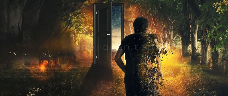 森林中两排大树的中间金光闪耀出现一扇通往未来之门一个男人冲大门跑去身体在燃烧