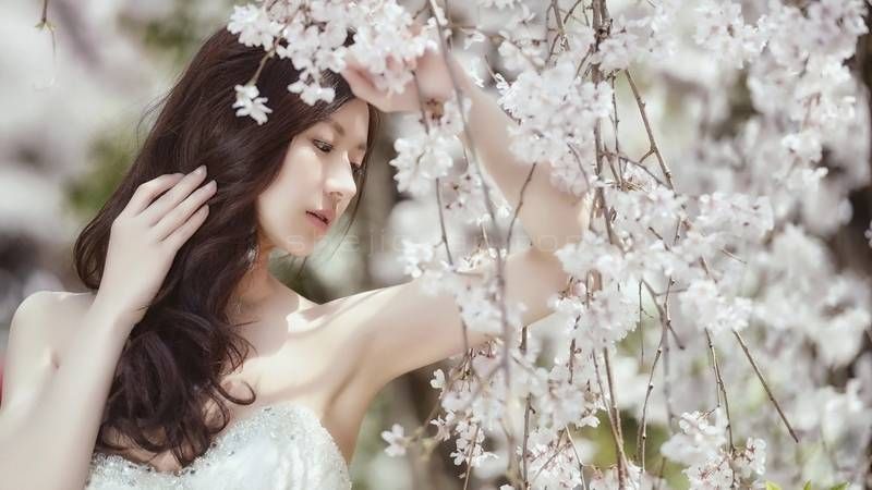 美女,合照,女孩,婚纱写真,工笔画