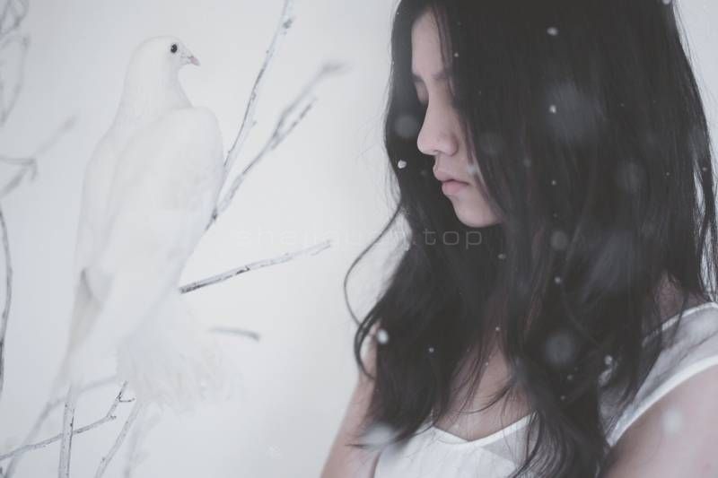 工笔画,图画,卡通动漫人物,美女,女孩