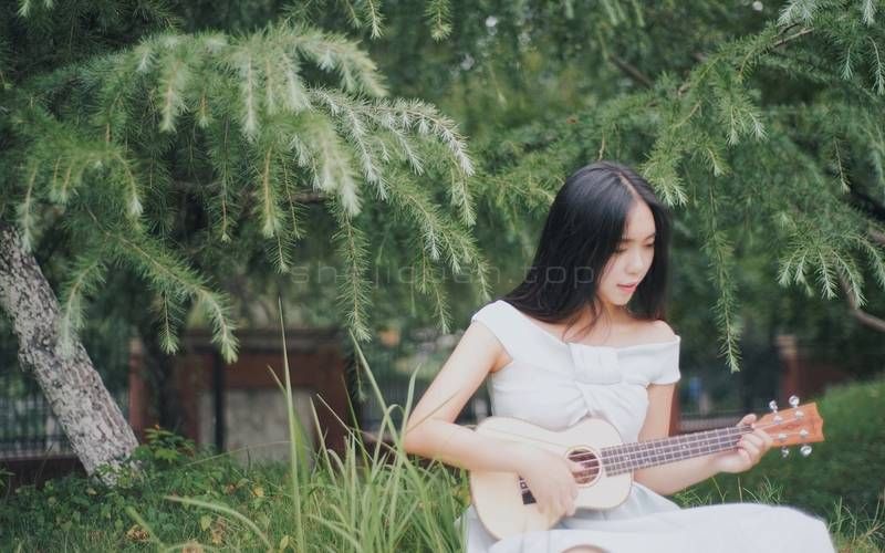 美女,婚纱写真,女孩,婚礼,松林